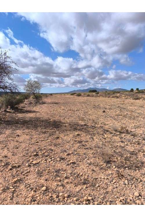 Land - Sale - Pinoso - Pinoso Centro