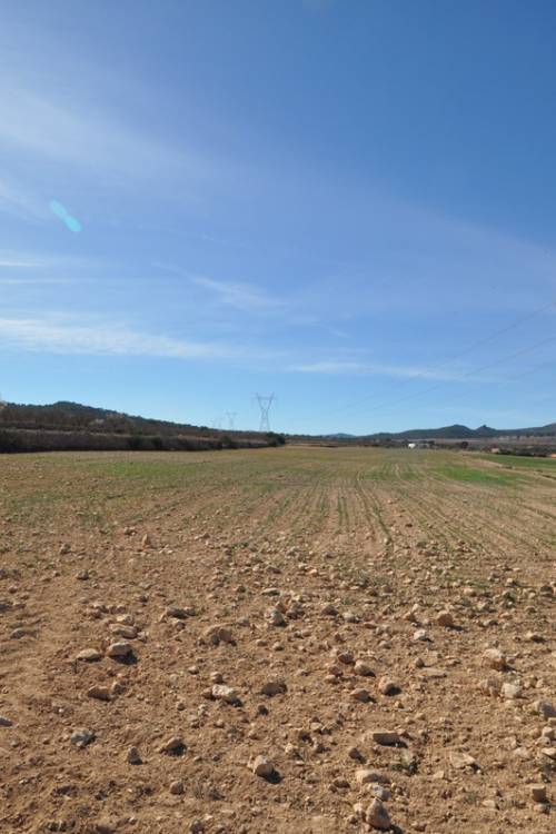 Land - Sale - Salinas - Salinas Centro
