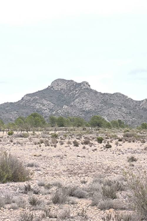 Land - Sale - Salinas - Salinas Centro