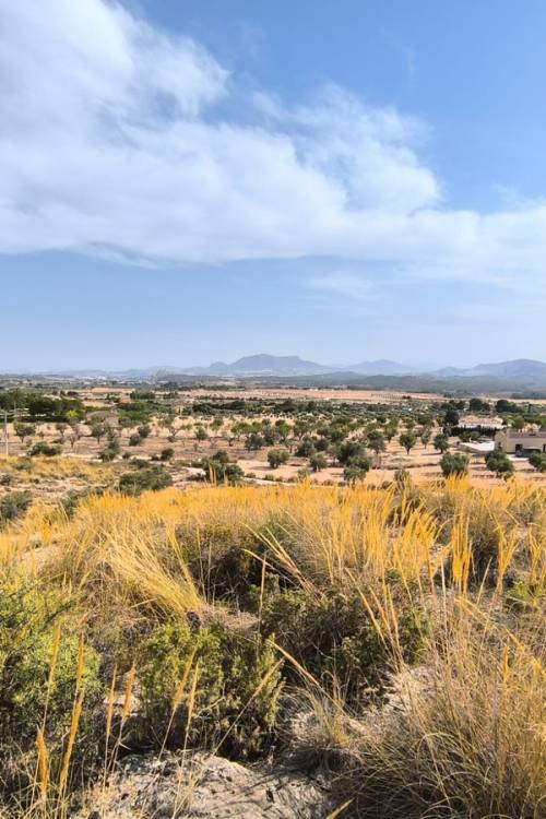 Land - Sale - Sax - Sax Centro