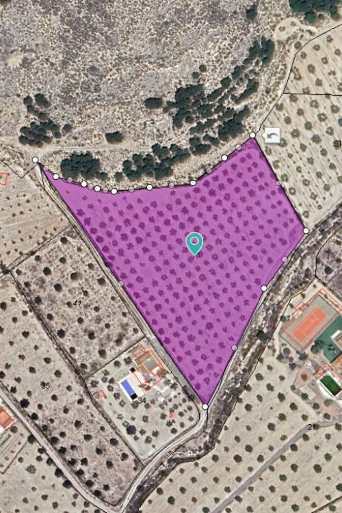 Land - Sale - Sax - Sax Centro