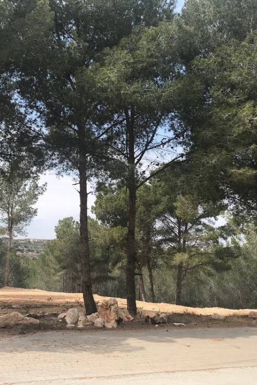 Land - Sale - Teulada - Moraira