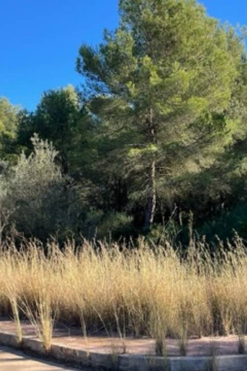 Land - Sale - Villajoyosa - La Cala