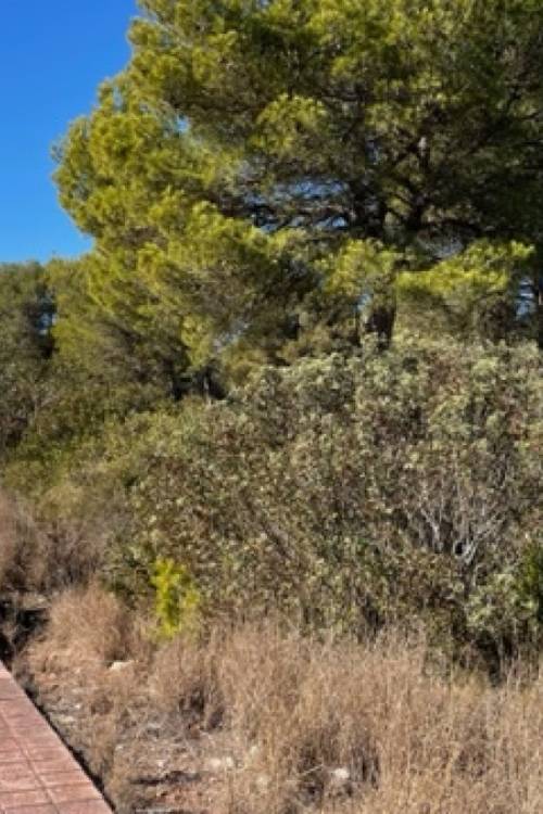 Land - Sale - Villajoyosa - La Cala