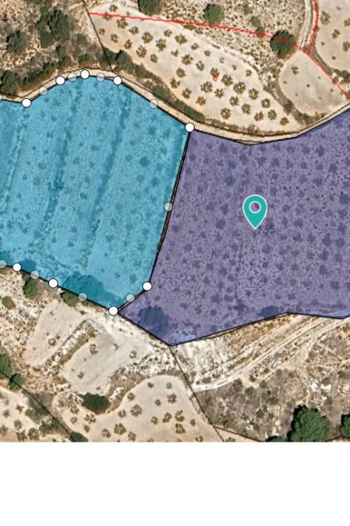 Land - Sale - Yecla - Raspay