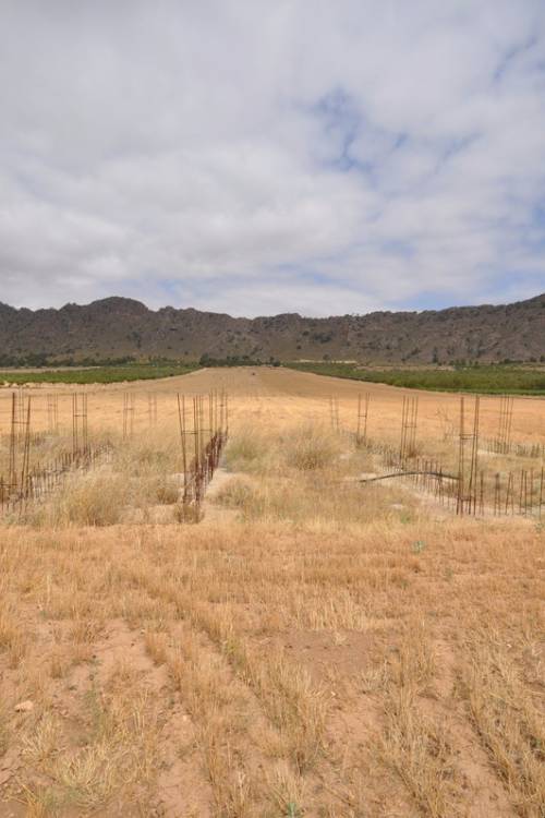 Land - Sale - Yecla - Yecla Centro