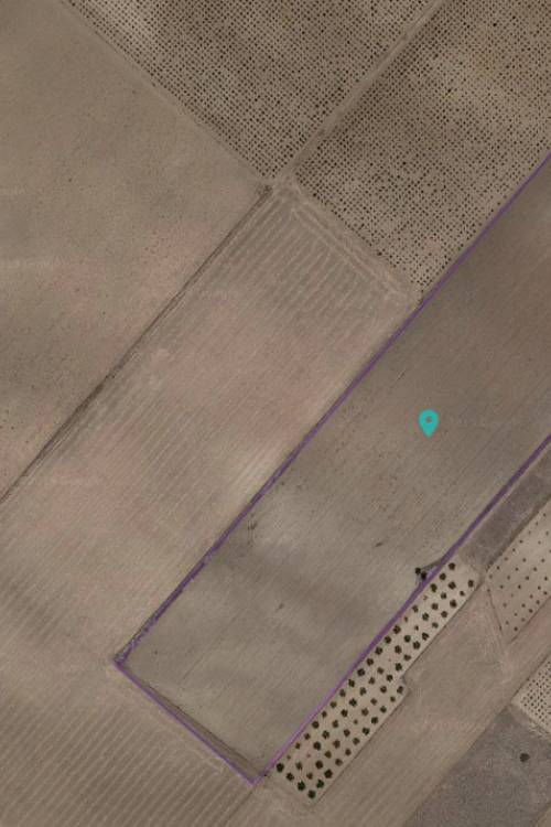 Land - Sale - Yecla - Yecla Centro