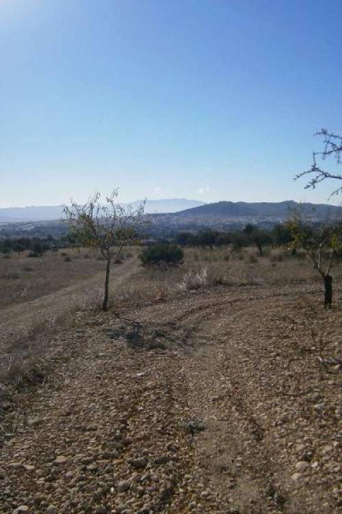 Land - Sale - Yecla - Yecla Centro