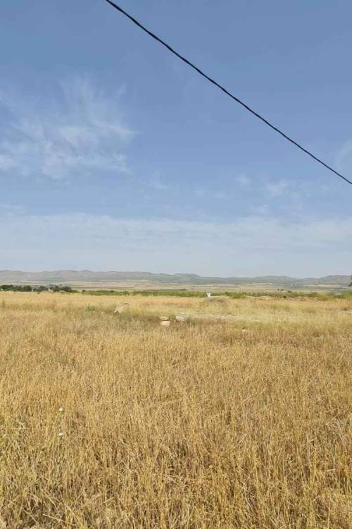 Land - Sale - Yecla - Yecla Centro