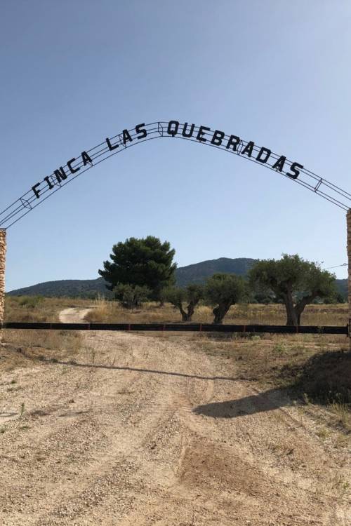 Land - Sale - Yecla - Yecla Centro