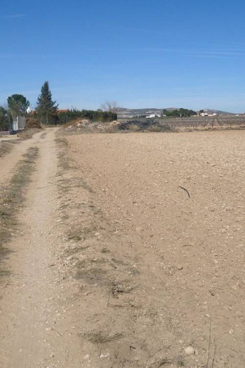 Land - Sale - Yecla - Yecla Centro