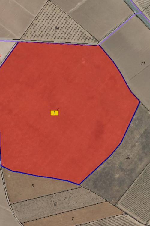 Land - Sale - Yecla - Yecla Centro