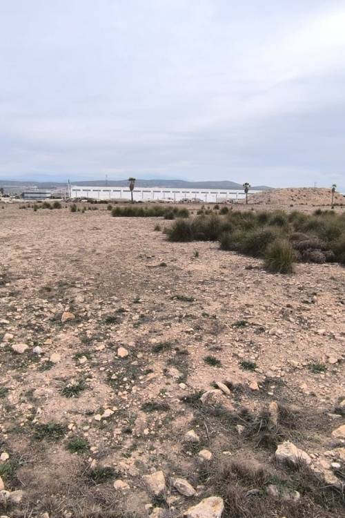 Land - Sale - Yecla - Yecla Centro