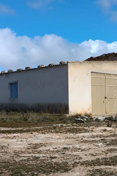 Land - Sale - Yecla - Yecla Centro