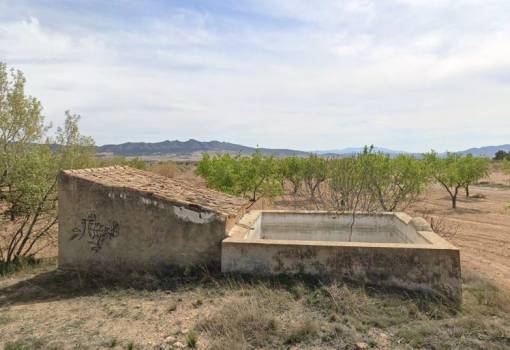 Land - Sale - Yecla - Yecla Centro