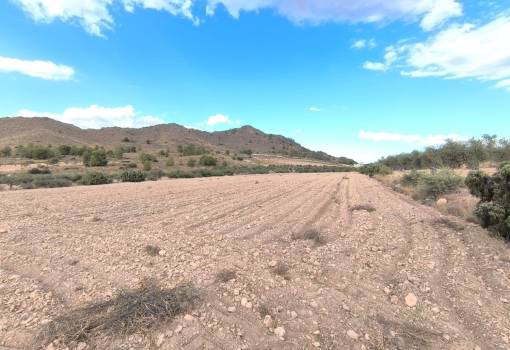 Land - Sale - Yecla - Yecla Centro