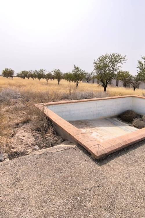 Land - Sale - Yecla - Yecla Centro