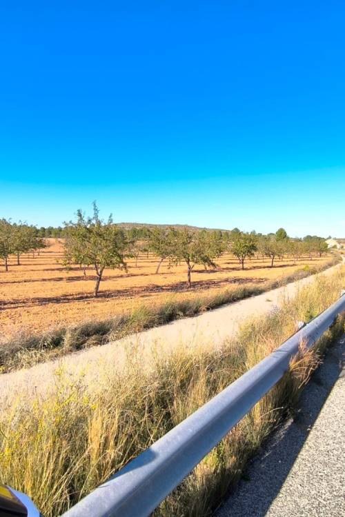 Land - Sale - Yecla - Yecla Centro