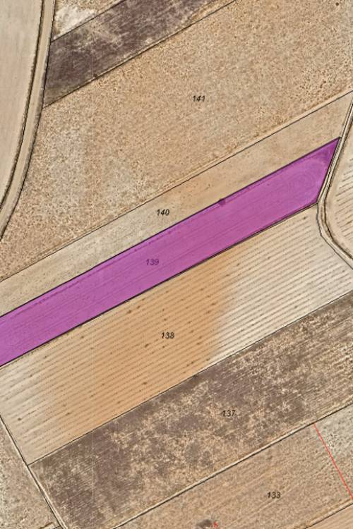 Land - Sale - Yecla - Yecla Centro