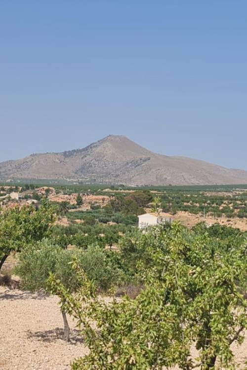 Land - Venta - Abanilla - Abanilla Centro