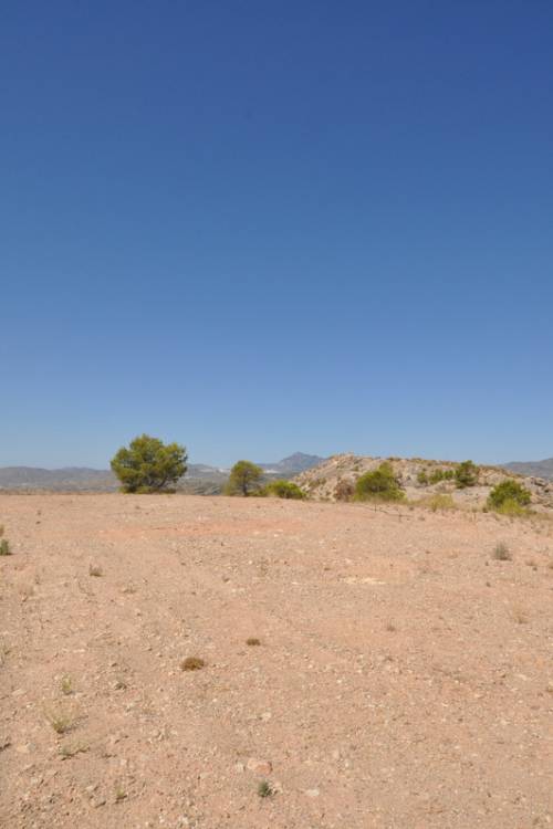 Land - Venta - Abanilla - Macisvenda