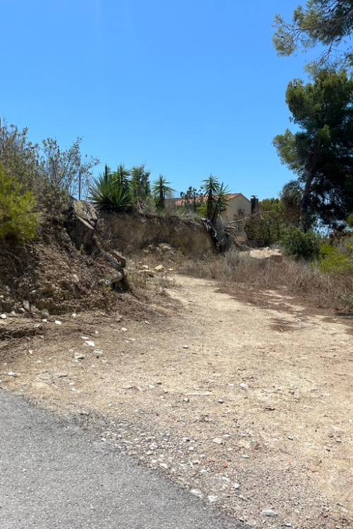 Land - Venta - Algorfa - Montemar