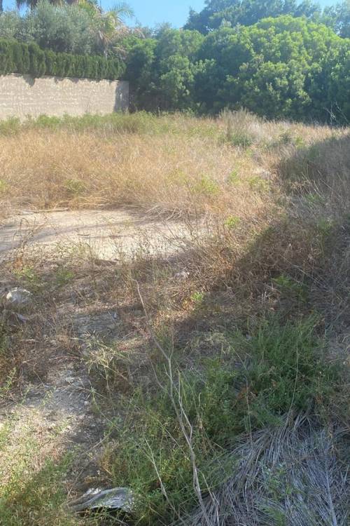 Land - Venta - Alicante - Alicante Centro