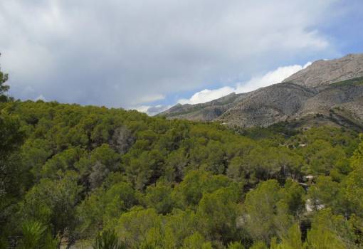 Land - Venta - Altea - Altea Centro