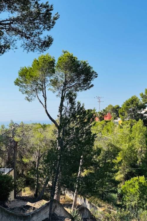 Land - Venta - Altea - Altea Centro