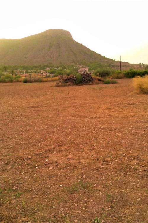 Land - Venta - Aspe - Aspe Centro