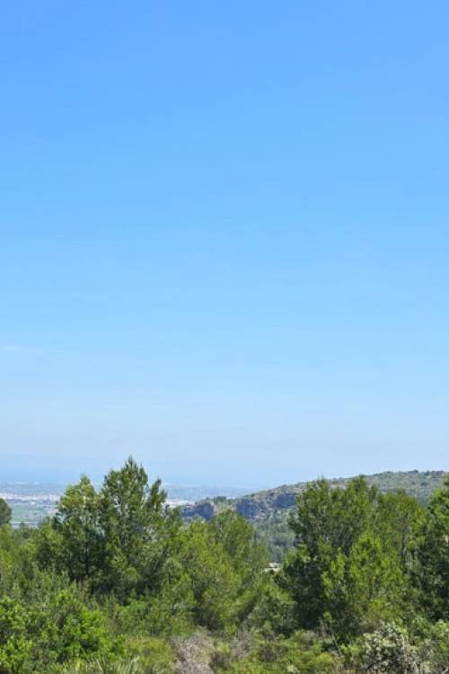 Land - Venta - Benidoleig - Benidoleig