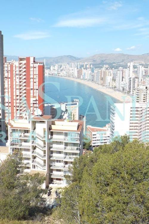 Land - Venta - Benidorm - Benidorm Centro