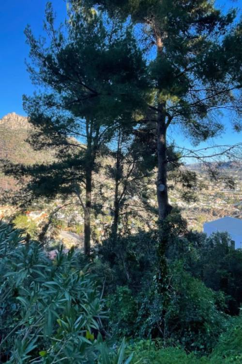 Land - Venta - Calpe - Calpe Centro