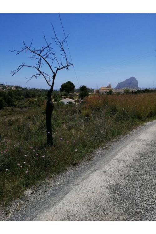 Land - Venta - Calpe - Calpe Centro