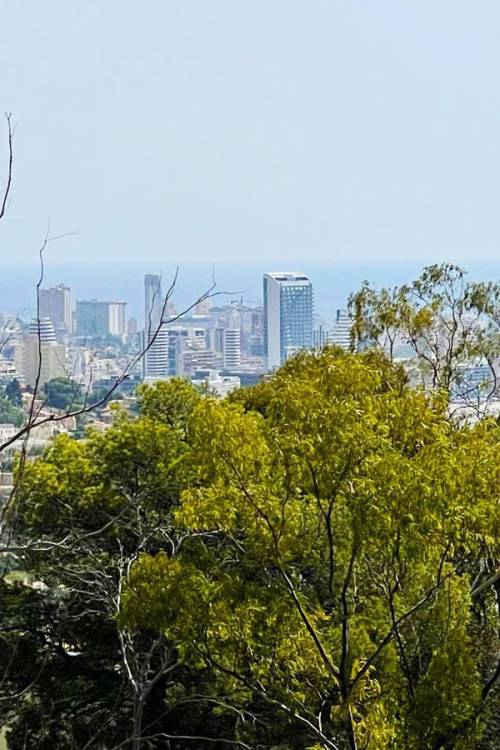 Land - Venta - Calpe - Calpe Centro