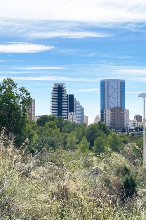 Land - Venta - Calpe - Calpe Centro