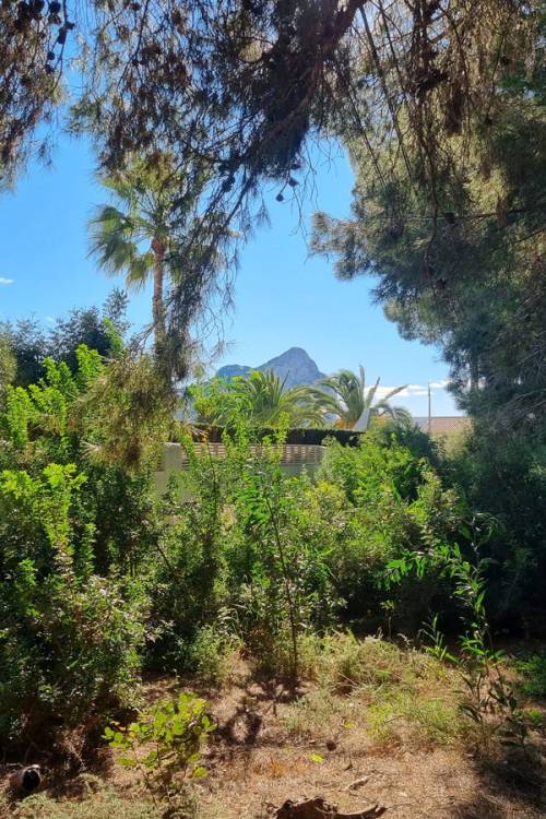 Land - Venta - Calpe - Calpe Centro