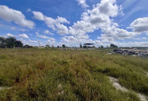 Land - Venta - Catral - Catral Centro