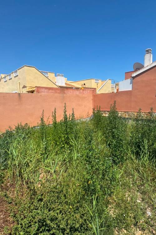 Land - Venta - Daya Nueva - Daya Nueva Centro