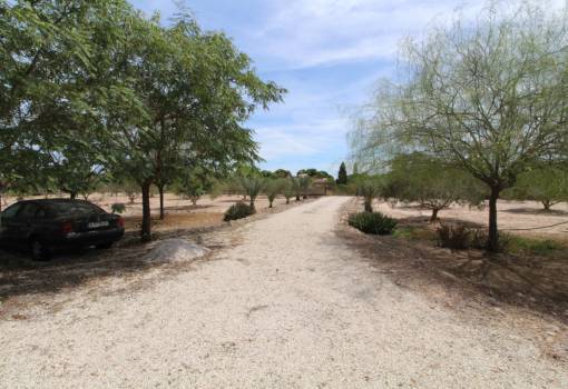 Land - Venta - Elche - Elche Centro