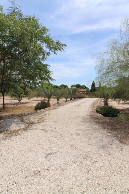 Land - Venta - Elche - Elche Centro