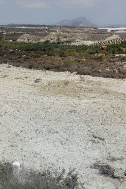 Land - Venta - Fortuna - Fortuna Centro