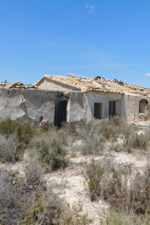 Land - Venta - Fortuna - Fortuna Centro