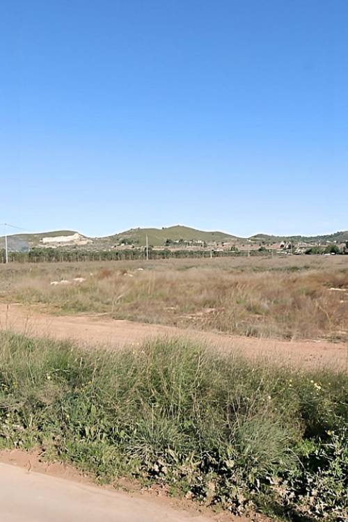 Land - Venta - Hondón de las Nieves - Hondón de las Nieves Centro