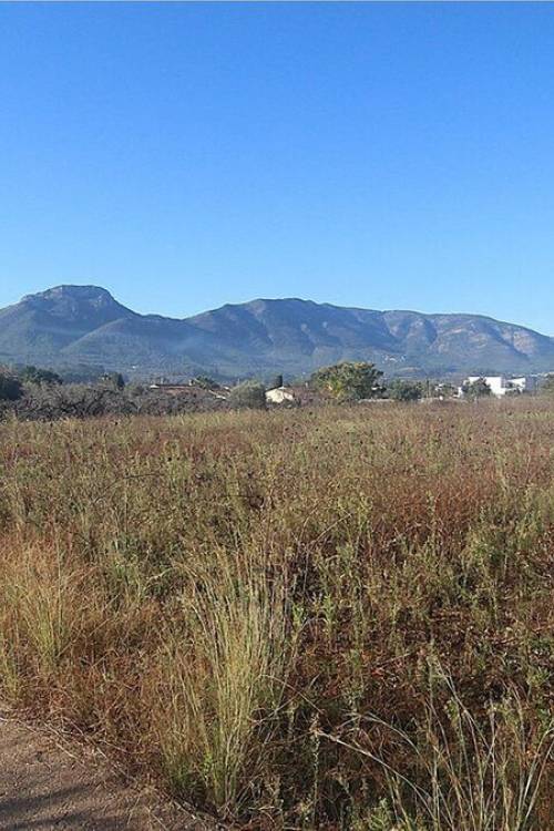 Land - Venta - Jalón - Jalon Centro