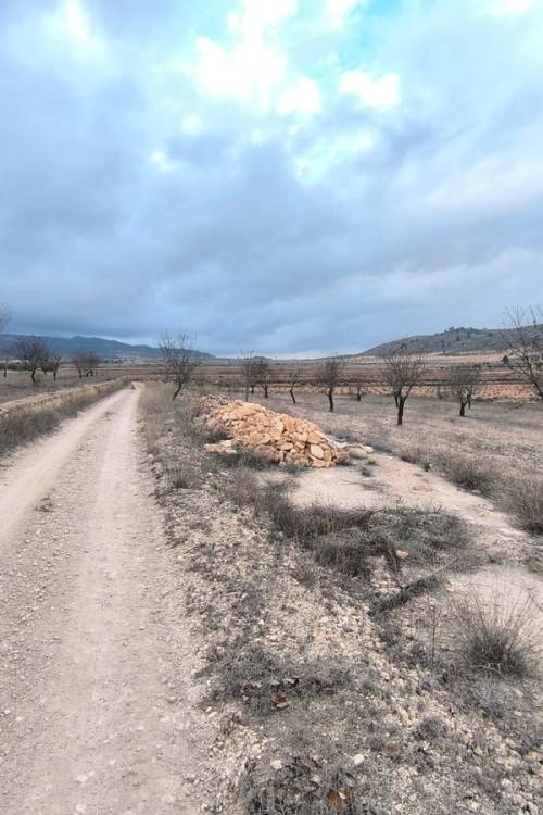 Land - Venta - Jalón - La Solana