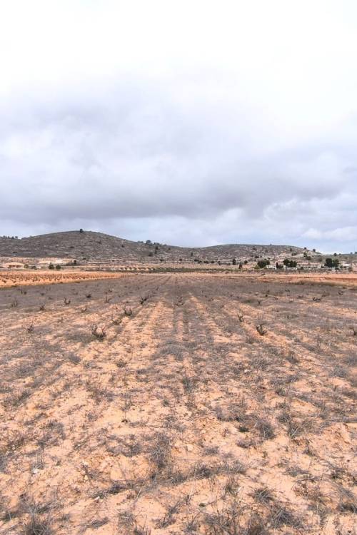 Land - Venta - Jalón - La Solana