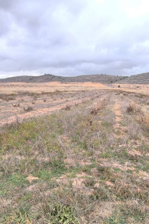 Land - Venta - Jalón - La Solana