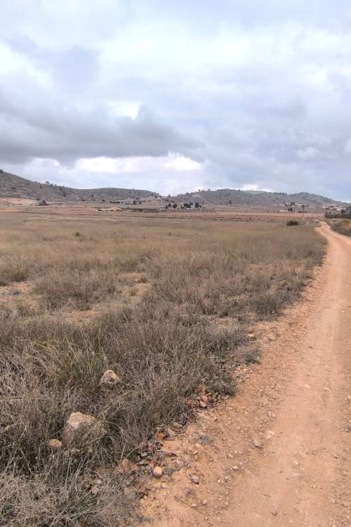 Land - Venta - Jalón - La Solana