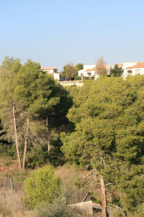 Land - Venta - Jávea - Xàbia - Jávea - Xàbia Centro